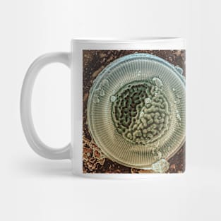 Diatom - Cyclotella litoralis (external, platinum) Mug